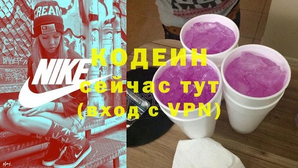 хмурый Арсеньев
