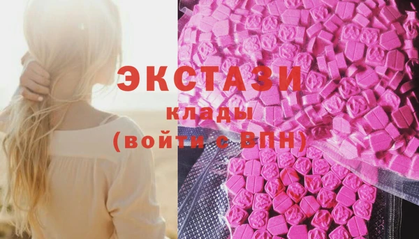 хмурый Арсеньев