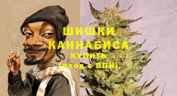 хмурый Арсеньев