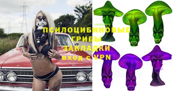 твердый Аркадак