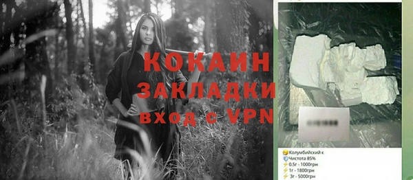 хмурый Арсеньев