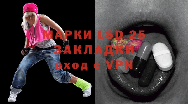 хмурый Арсеньев