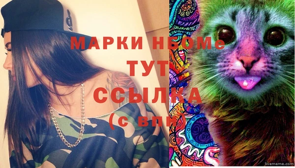 твердый Аркадак