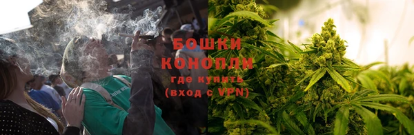 твердый Аркадак