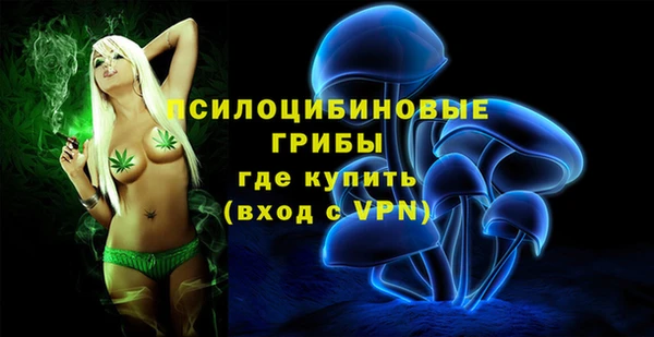 МДПВ Армянск