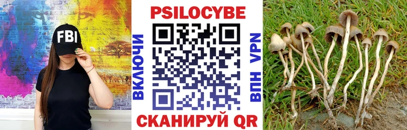 блэк спрут маркетплейс  Медынь  Галлюциногенные грибы мицелий 